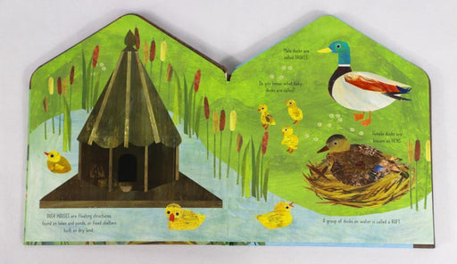 Macmillan Publishers International Bird House