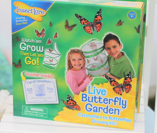 Insect Lore Standard Real Butterfly Garden