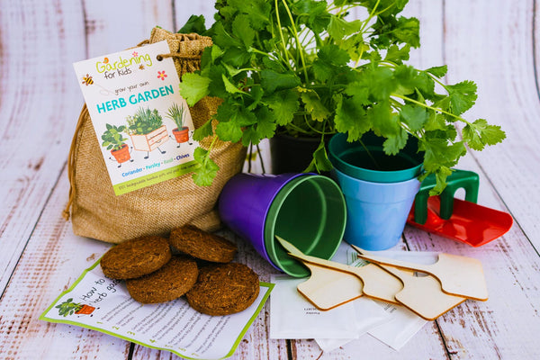 Children's Herb Growing Gift Bag