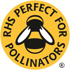 perfect for pollinators